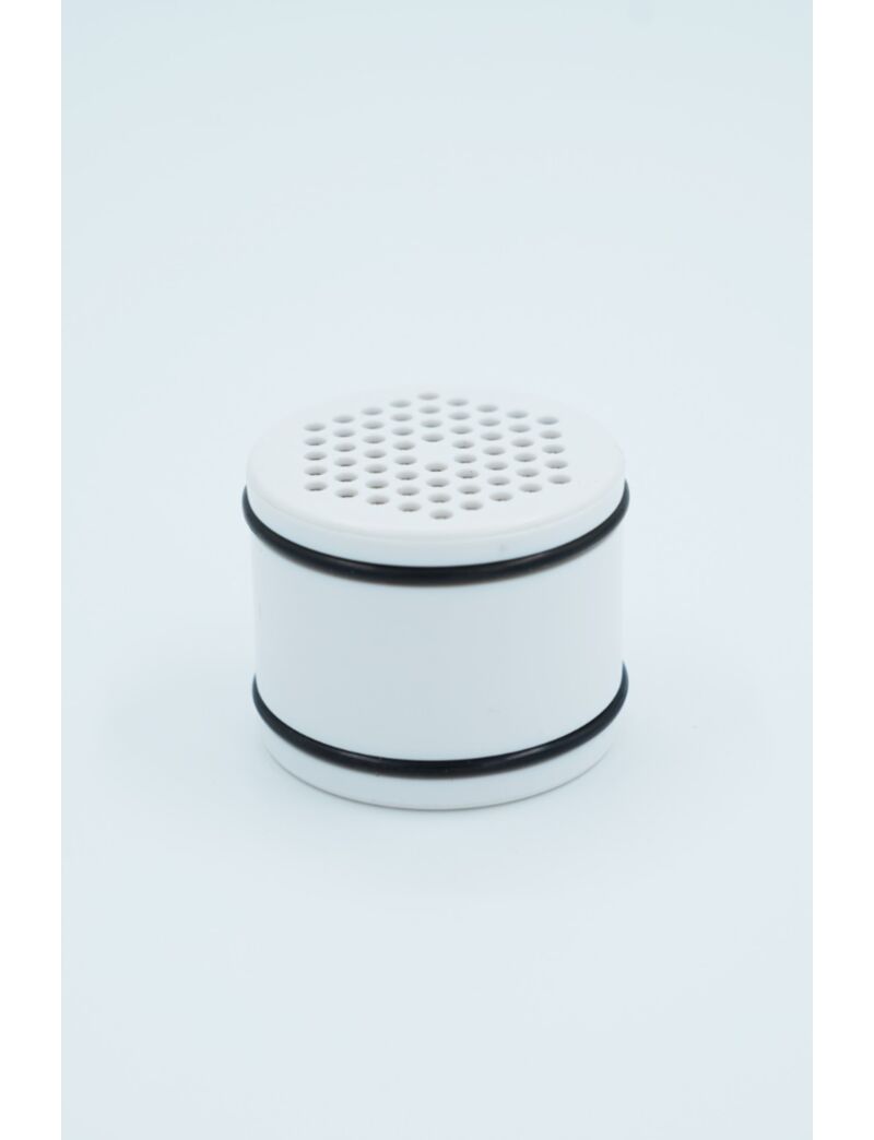 Paragon KDF Replacement Filter